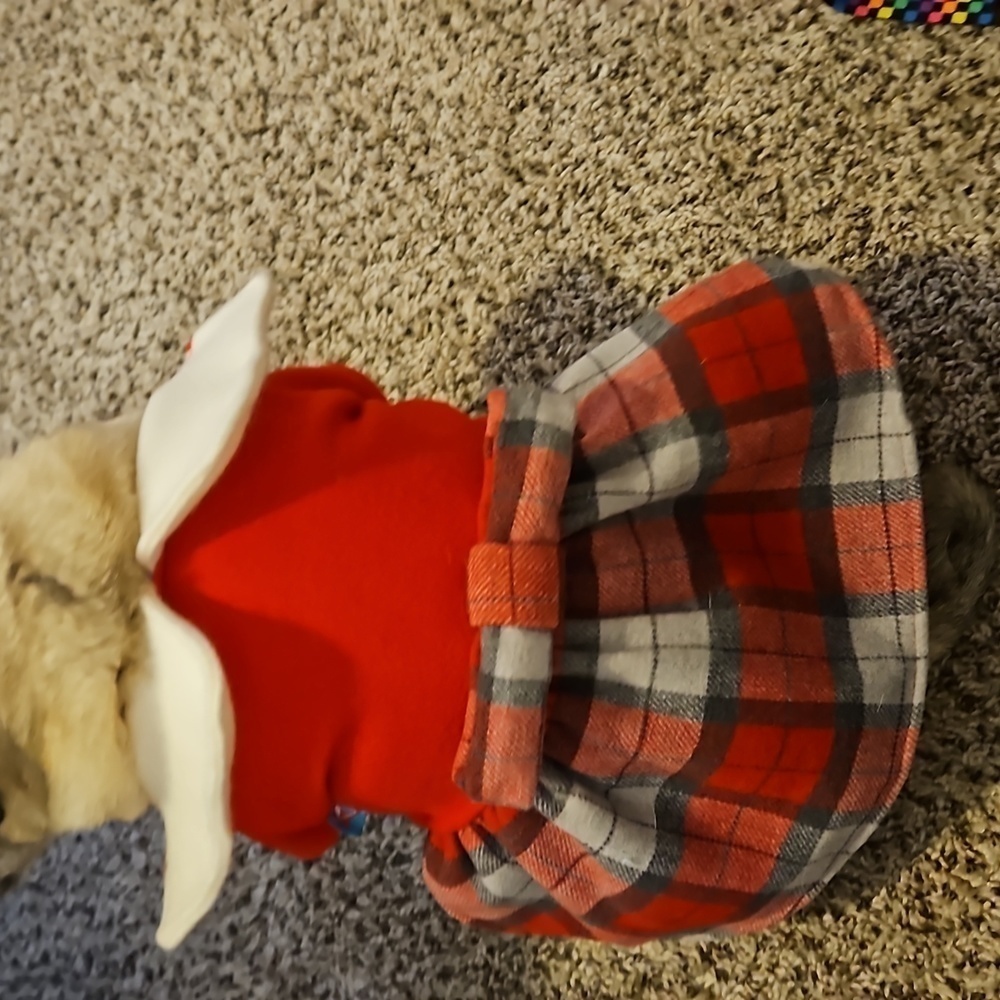 Red and Plaid Dogs Dress